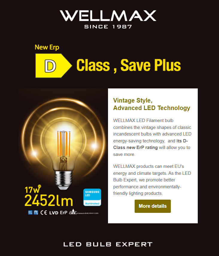 LED Filament Bulb