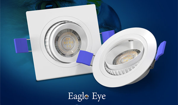 Eagle Eye Spotlight