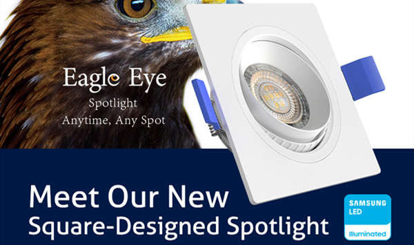 Eagle Eye Spotlight