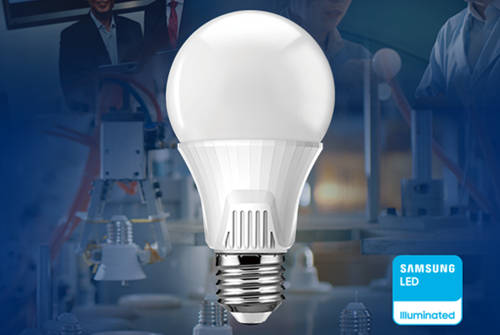 LED Bulb Expert