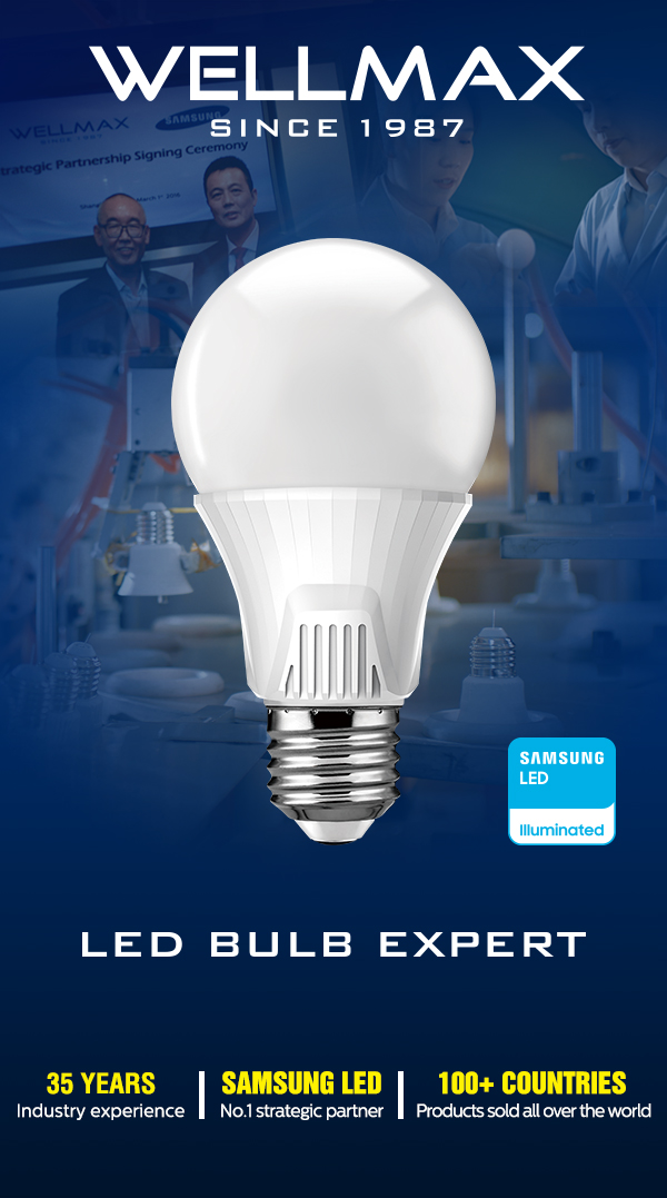 LED BULB EXPERT