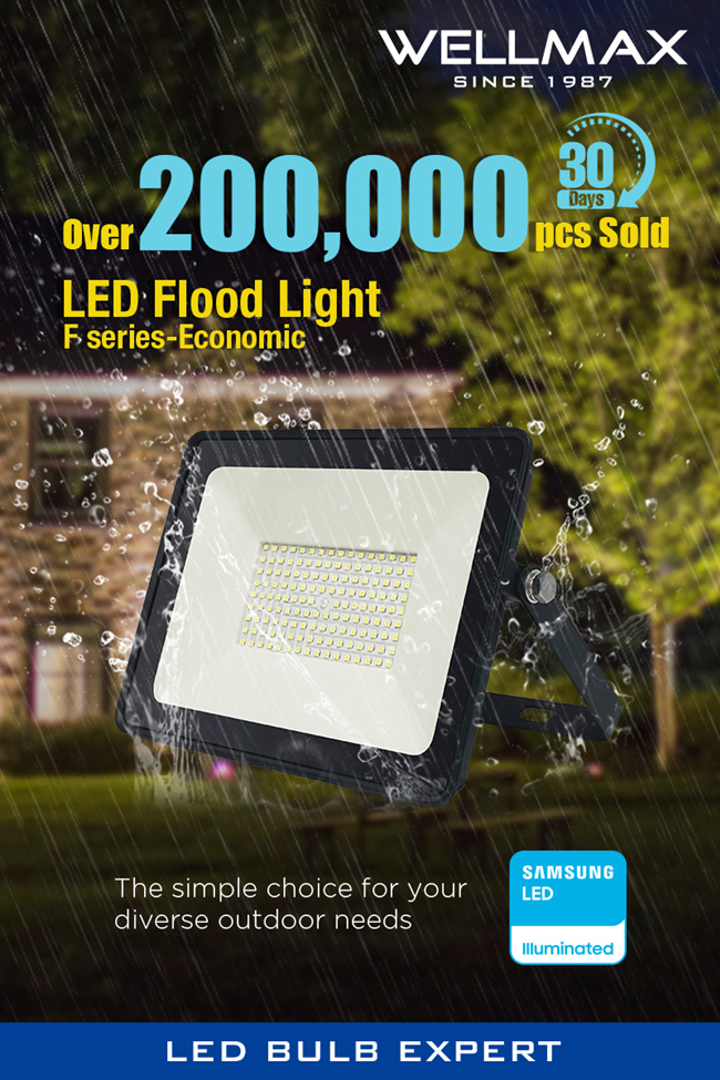 LED Floodlight