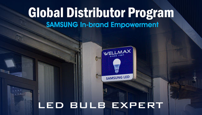 WELLMAX GDP Program